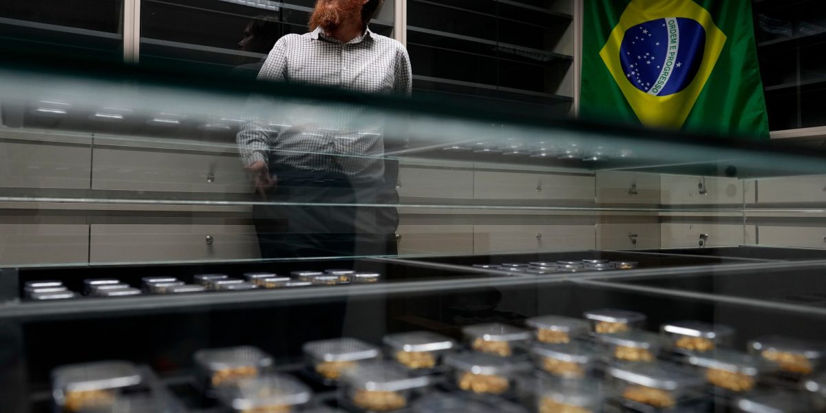 Brazil uses DNA-style 'gold fingerprinting' to catch illegal Amazon mining