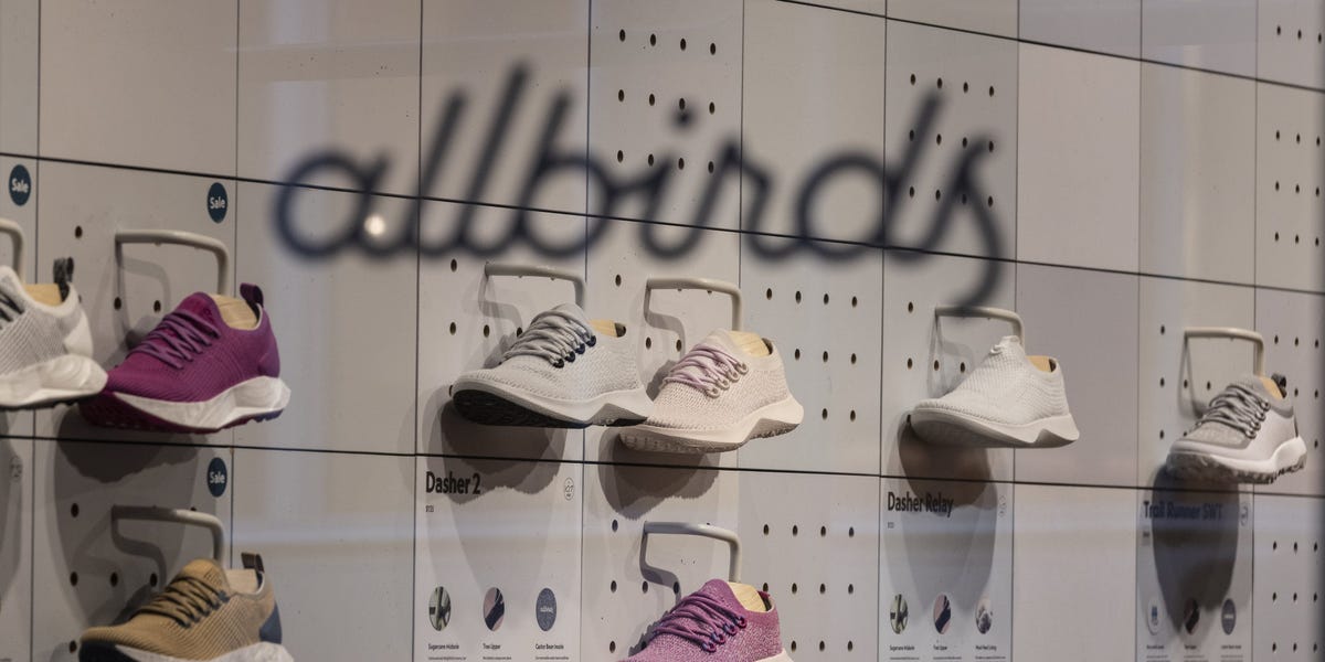 Allbirds pivots from sustainable footwear to AI infrastructure, triggering a massive 582% stock surge.