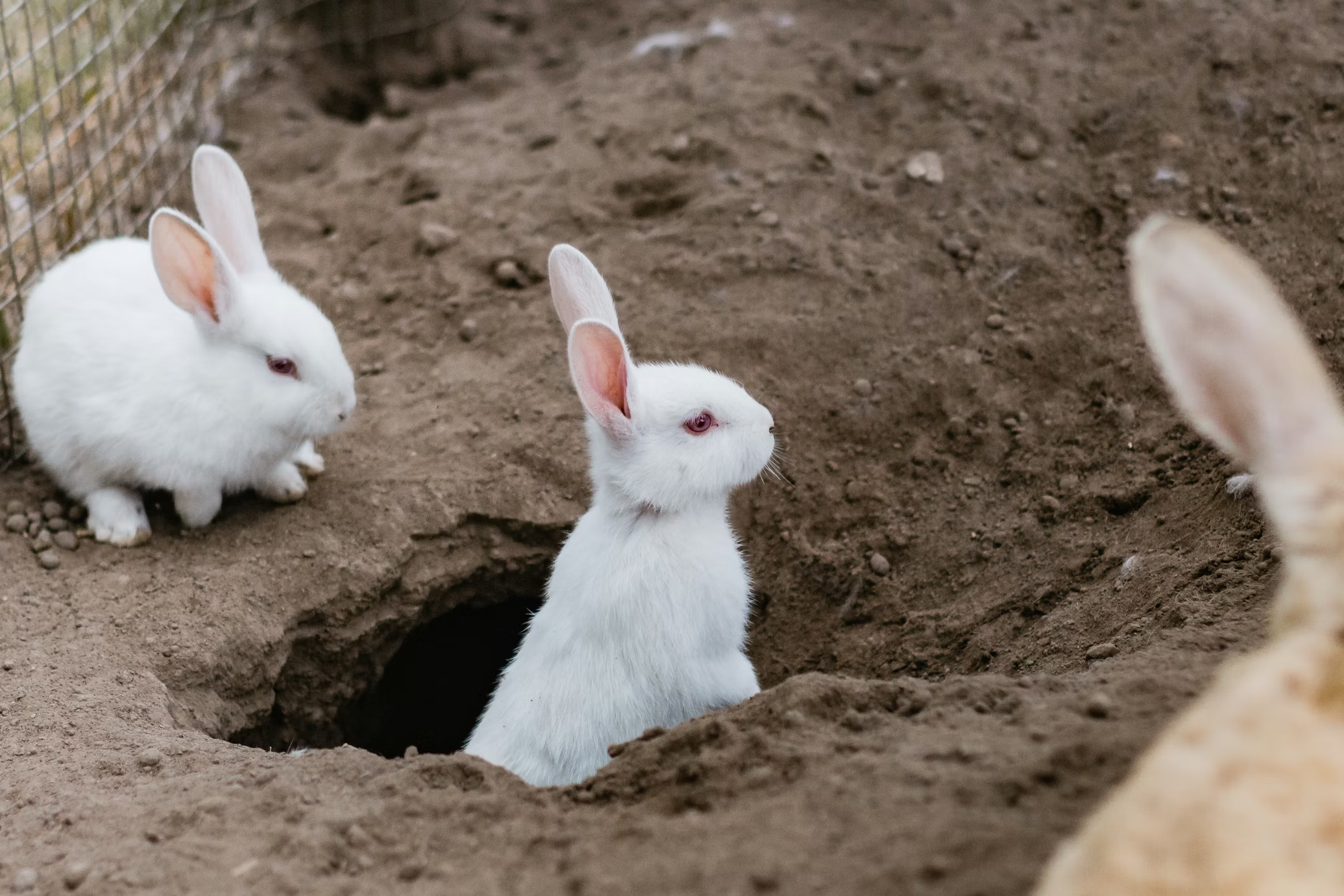 AI tools are advancing site reliability engineering faster than incident management capabilities, creating a critical gap in operational resilience.