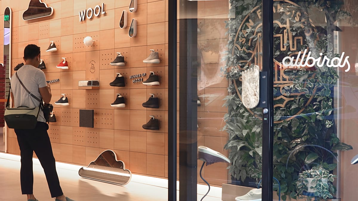 Allbirds stock skyrockets 430% after footwear company pivots its business strategy toward artificial intelligence