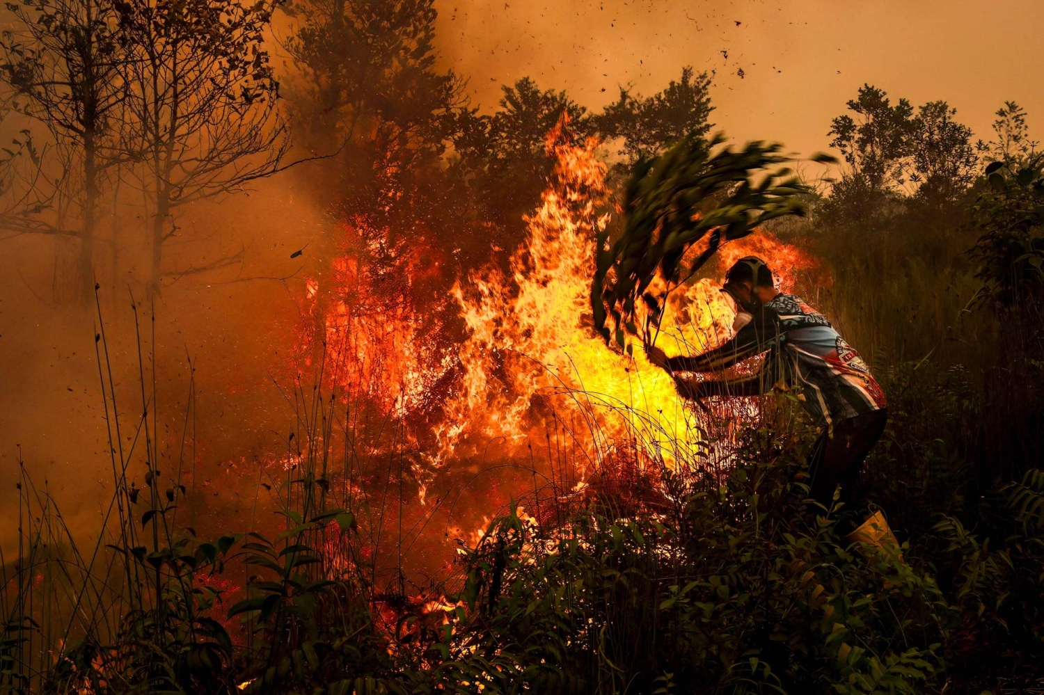 CREA study links Indonesia fires to 3,560 deaths in September