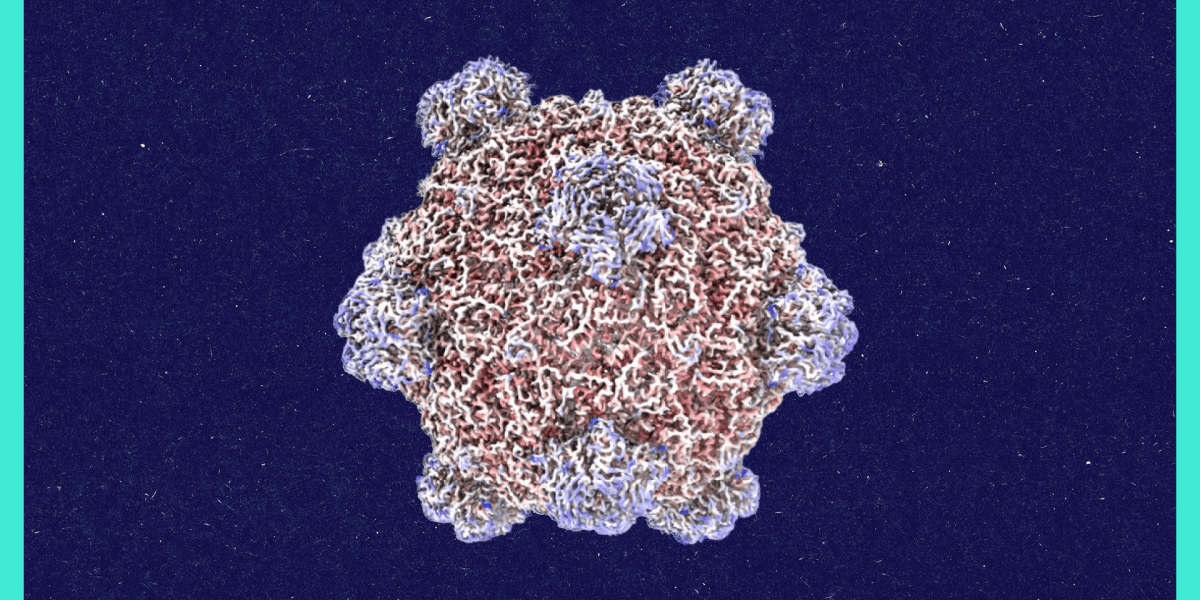 Samuel King used AI to propose genetic blueprints for microscopic viruses