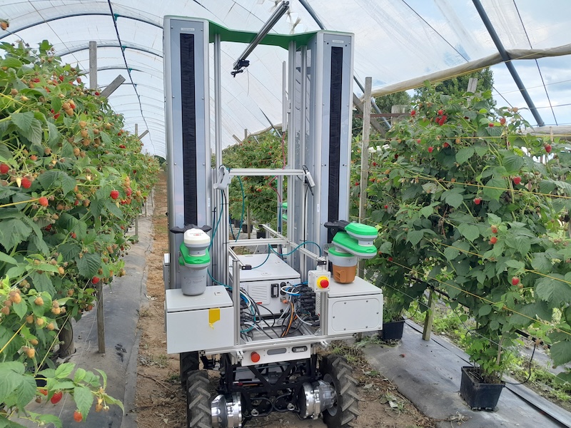 Fieldwork Robotics partners with Dynium to expand harvesting robot capabilities with autonomous vehicle technology for polytunnel farming.