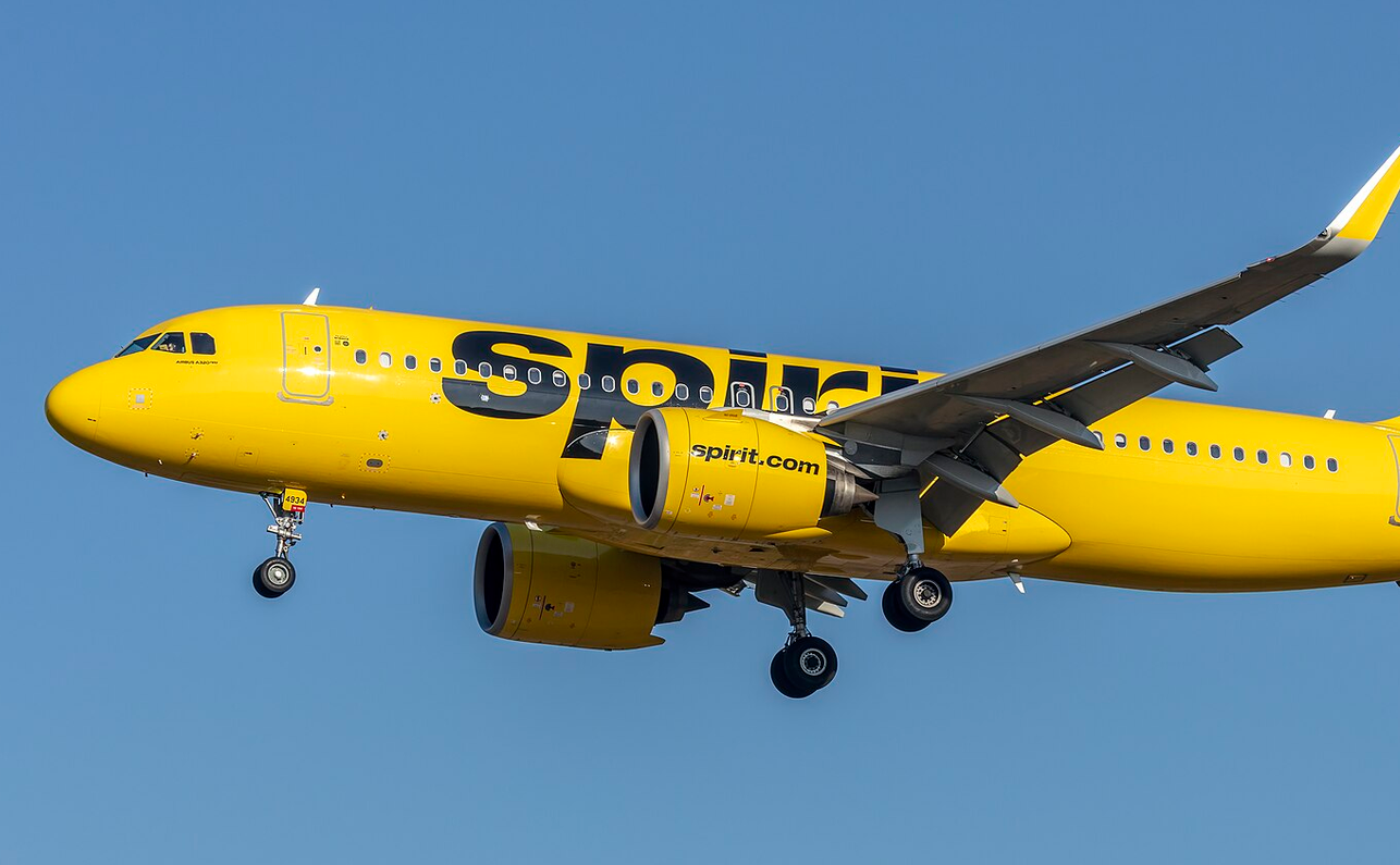 Google pays $10M for Spirit Airlines' business data for AI training