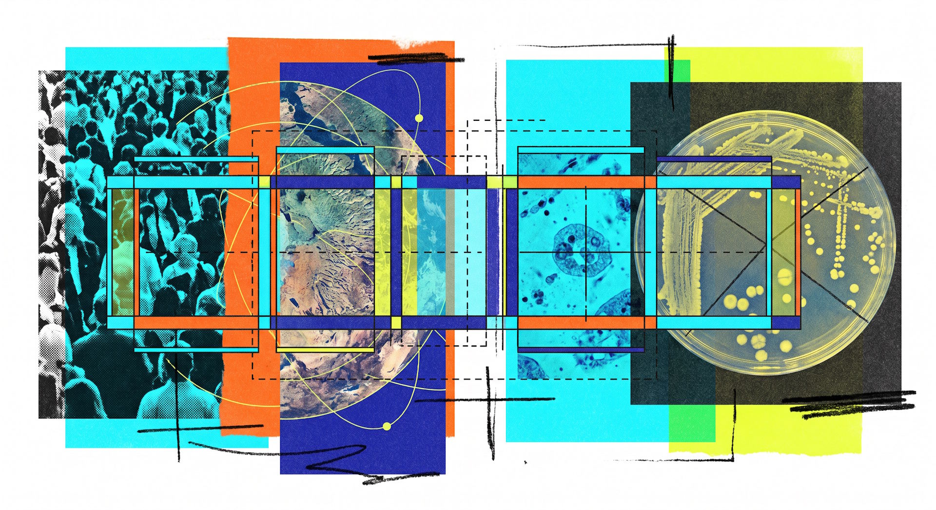 Researchers have built a single AI model called Count Anything that reliably counts objects across wildly different image types—crowds, cells, vehicles, bacteria—a task that has until now required separate specialized systems.
