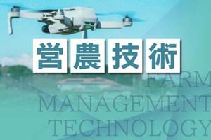 University of Tokyo and Kubota develop technology to predict potato yields from aerial images using drones and AI