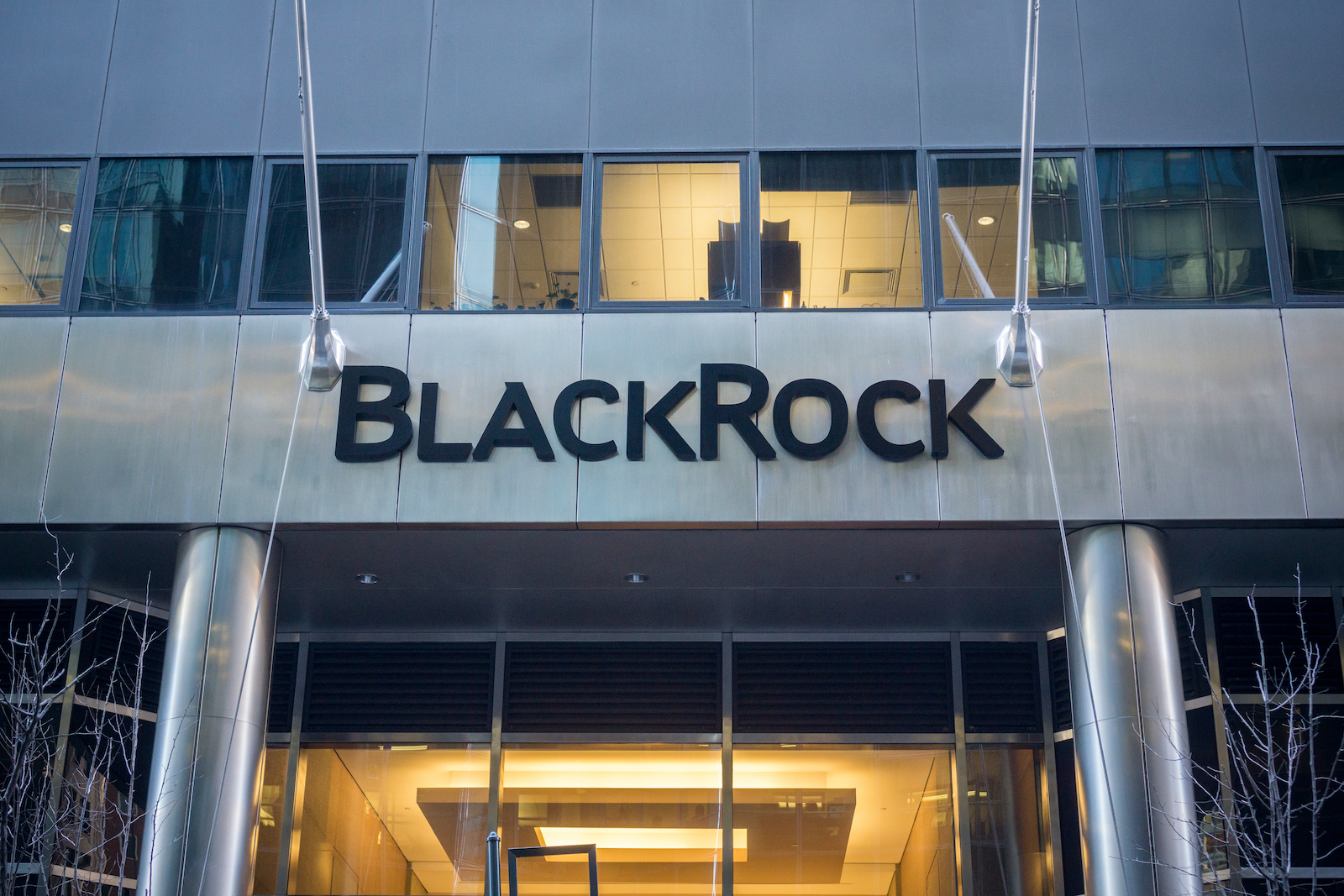 BlackRock's $8bn multi-strategy fund eyes AI as key alpha driver